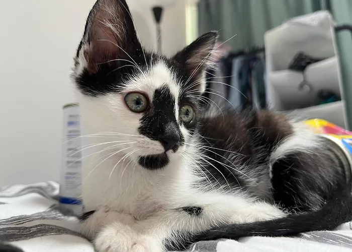 Kwatera prywatna Casa Menna Lagos